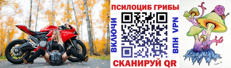 Псилоцибиновые грибы ЛСД  блэк спрут рабочий сайт  Мензелинск 